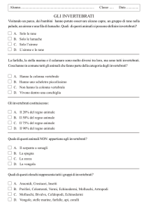 gli invertebrati