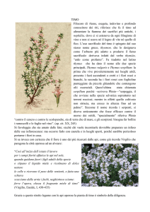 TIMO Filocoro di Atene, esegeta, indovino e profondo conoscitore