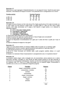 Esercizio n°1 Determina se i geni segregano indipendentemente o