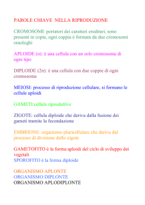 Botanica sistematica - Istituto Serpieri Bologna