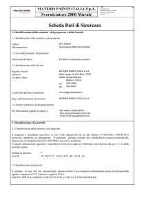 Scheda Sicurezza - Baldini Vernici