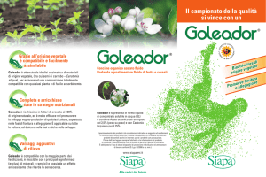 Goleador concime bioattivatore organico vegetale migliora fioritura