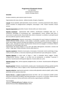 Programma di Anatomia Umana - Dipartimento di Scienze (UNIBAS)