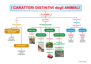 I CARATTERI DISTINTIVI degli ANIMALI