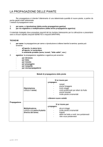 la propagazione delle piante