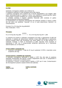 00082141339 Lille