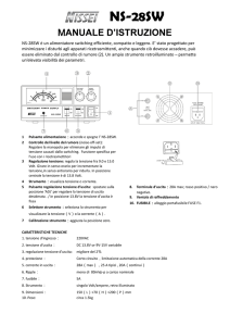 NS-28SW - RADIO-line