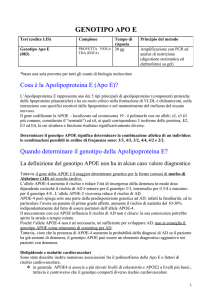genotipo apo e
