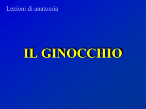 il ginocchio - Clinica Ortopedica