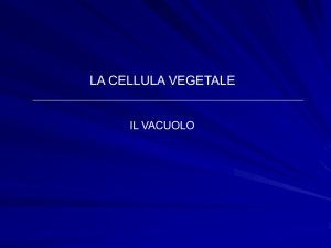 Lezione 7