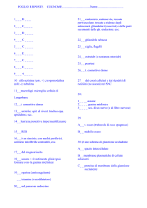 foglio risposte