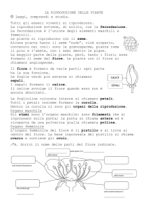 LA RIPRODUZIONE DELLE PIANTE Leggi