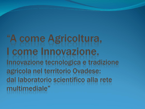 Saggi Alimentari