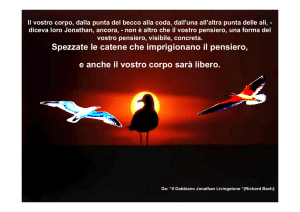Il gabbiano