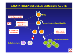 Leucemie acute mieloidi e linfoidi