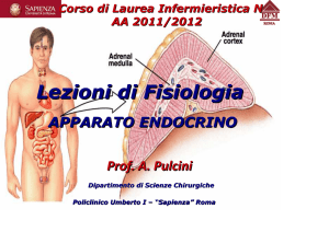 Apparato Endocrino