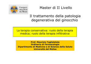 Master OA definitiva 2012