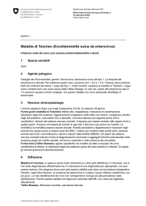 Malattia di Teschen (Encefalomielite suina da enterovirus)