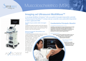 Muscoloscheletrico (MSK)