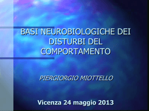 MIOTTELLO_ConvegnoUSTVicenza_24 maggio2013