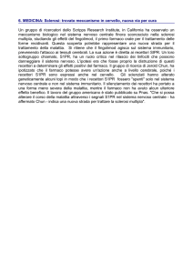 6. MEDICINA: Sclerosi: trovato meccanismo in cervello, nuova via