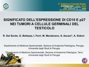 Diapositiva 1