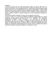 PRF99201 L`infezione sostenuta dal virus della Rinotracheite