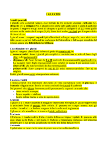 i glucidi - c@siniduepuntozero