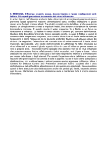 Vedi Allegato
