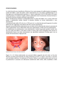 etiopatogenesi delle LPS.