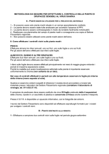 Metodologia per il controllo delle drupacee