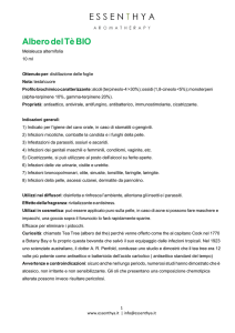 Scarica la scheda prodotto