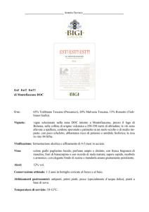 BIGI EST EST EST