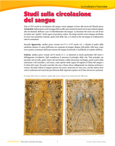 Studi sulla circolazione del sangue