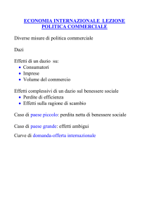 ECONOMIA INTERNAZIONALE LEZIONE POLITICA