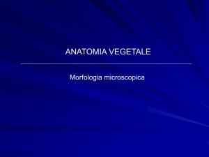 Diapositiva 1 - Dipartimento di Scienze della vita