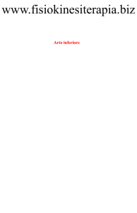 Arto inferiore - Fisiokinesiterapia