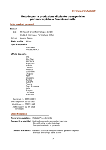 Metodo per la produzione di piante transgeniche partenocarpiche o