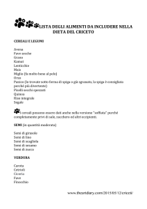 questa lista - The Art Diary