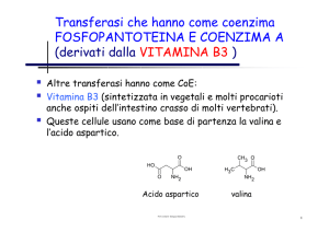 derivati dalla VITAMINA B3
