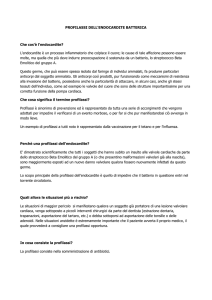 PROFILASSI DELL`ENDOCARDITE BATTERICA Che cos`è l