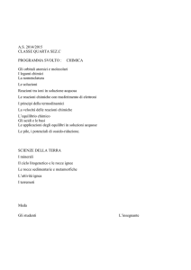 A.S. 2014/2015 CLASSE QUARTA SEZ.C PROGRAMMA SVOLTO