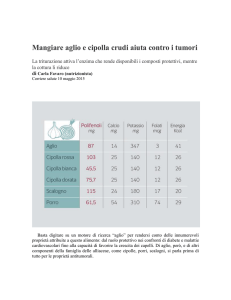 Mangiare aglio e cipolla crudi aiuta contro i tumori