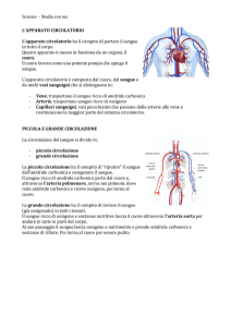 Scienze – Studia con me L`APPARATO CIRCOLATORIO