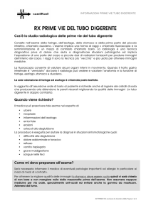 rx prime vie del tubo digerente