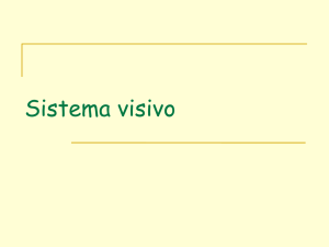 Visione 2