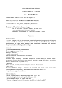 Fis 2a1s Neuroanatomia Sotgiu MA 2015-16