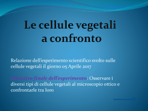 Relazione sull`esperimento delle cellule vegetali