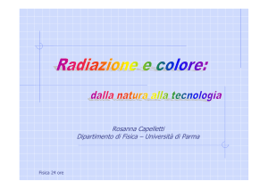 Presentazione di PowerPoint - Dipartimento di Scienze Matematiche