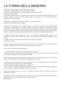 Testi - PDF - Studio Morbiducci